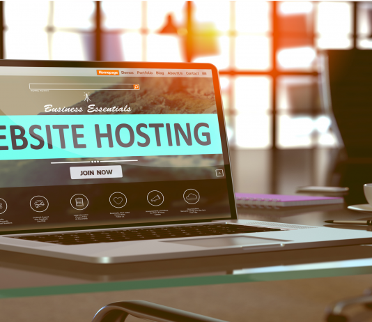 Website Hosting, Kompani hostimi
