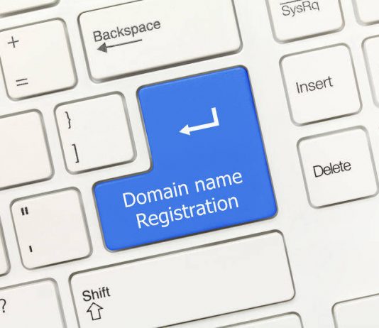 Domain Registrar